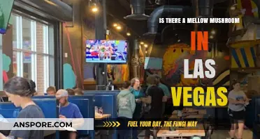 Discovering Mellow Mushroom: Is There a Location in Las Vegas?