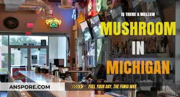 Discovering Mellow Mushroom: Are There Locations in Michigan?
