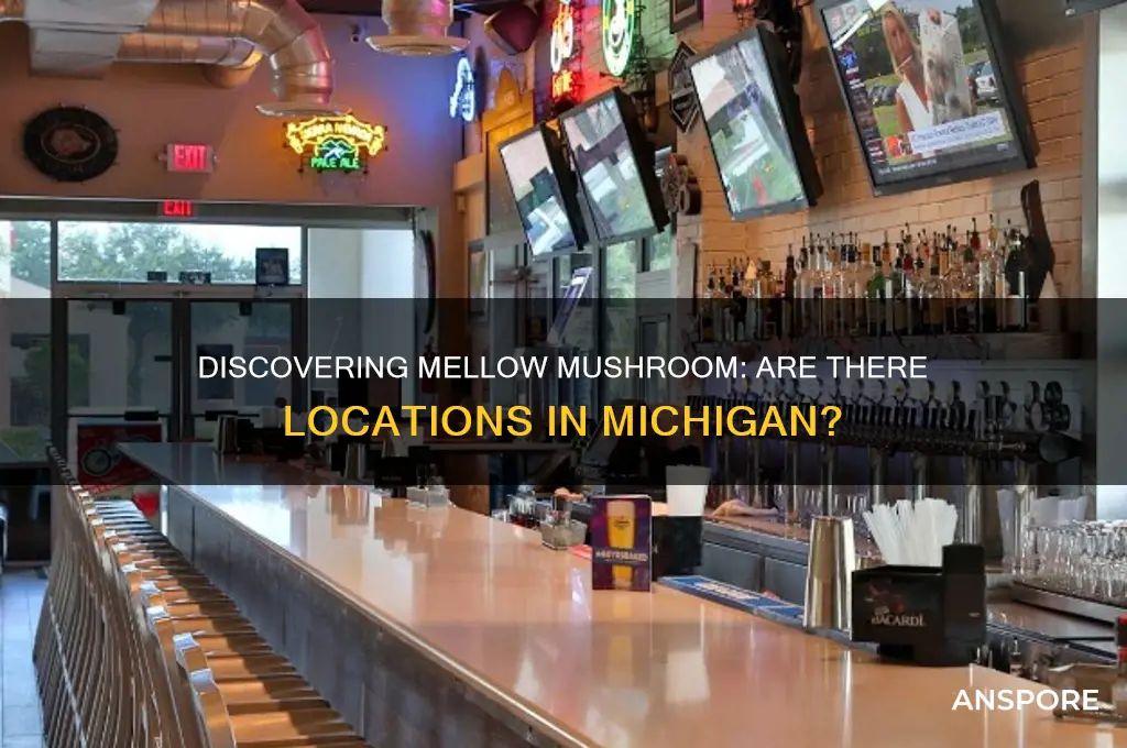 is there a mellow mushroom in michigan