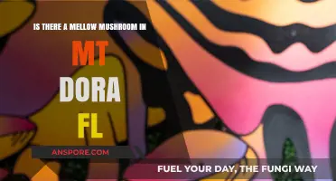 Exploring Mt Dora FL: Does a Mellow Mushroom Exist Here?