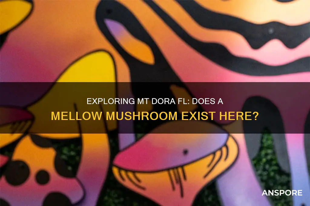 is there a mellow mushroom in mt dora fl