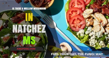 Exploring Natchez MS: Does Mellow Mushroom Have a Location Here?