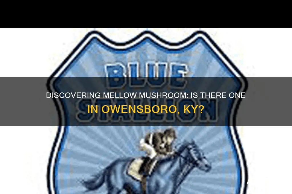 is there a mellow mushroom in owensboro ky