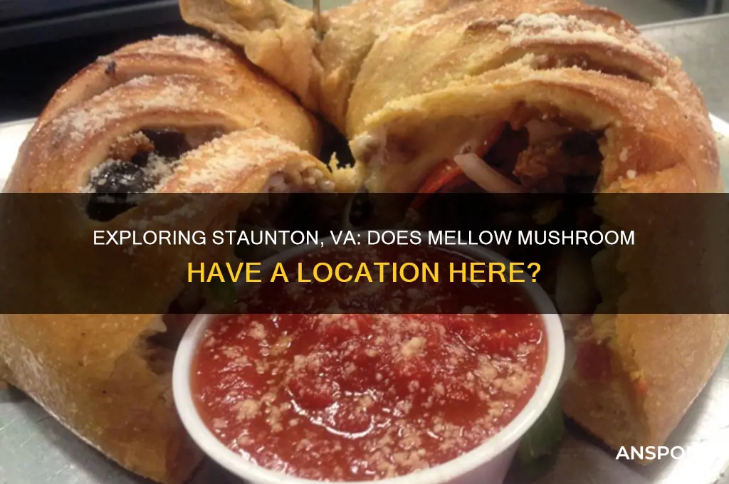 is there a mellow mushroom in staunton virginia