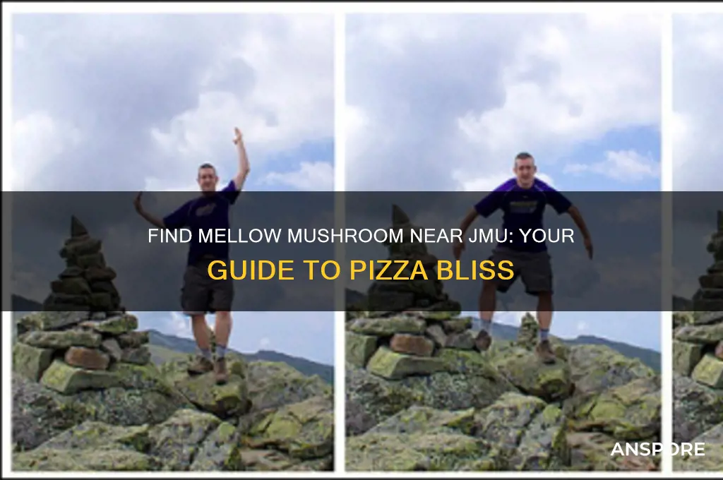 is there a mellow mushroom near jmu