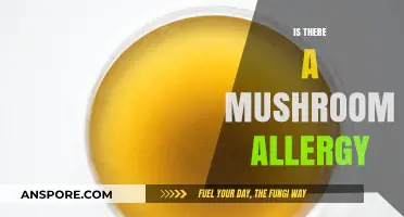 Mushroom Allergies: What You Need to Know