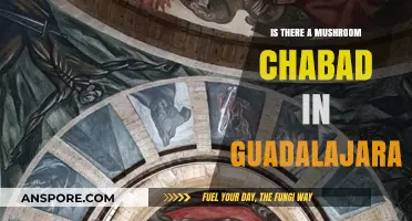 Exploring Guadalajara's Unique Chabad: A Mushroom-Themed Jewish Center?