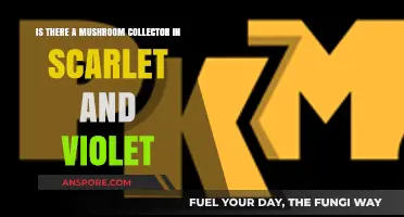 Scarlet and Violet's Mushroom Collector Mystery: Fact or Fiction?