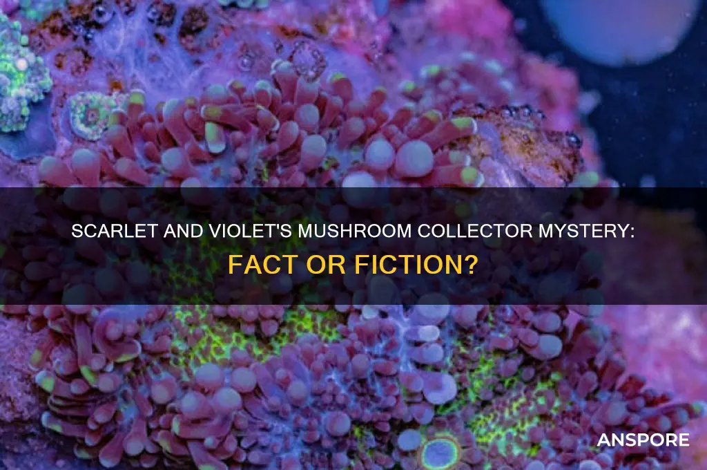 is there a mushroom collector in scarlet and violet