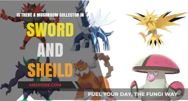 Mushroom Collector in Sword and Shield: Fact or Fiction?