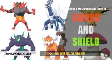 Mushroom Collector in Sword and Shield: Myth or Reality?