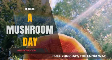 Mushroom Day: A Celebration of Fungi