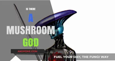 Mushroom God: Myth or Reality?