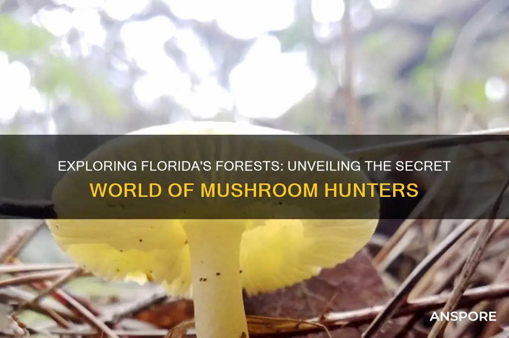 is there a mushroom hunter in florida