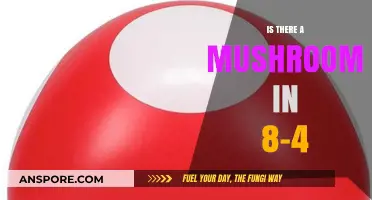 Exploring Mushroom Existence in 8-4: Fact or Fiction?
