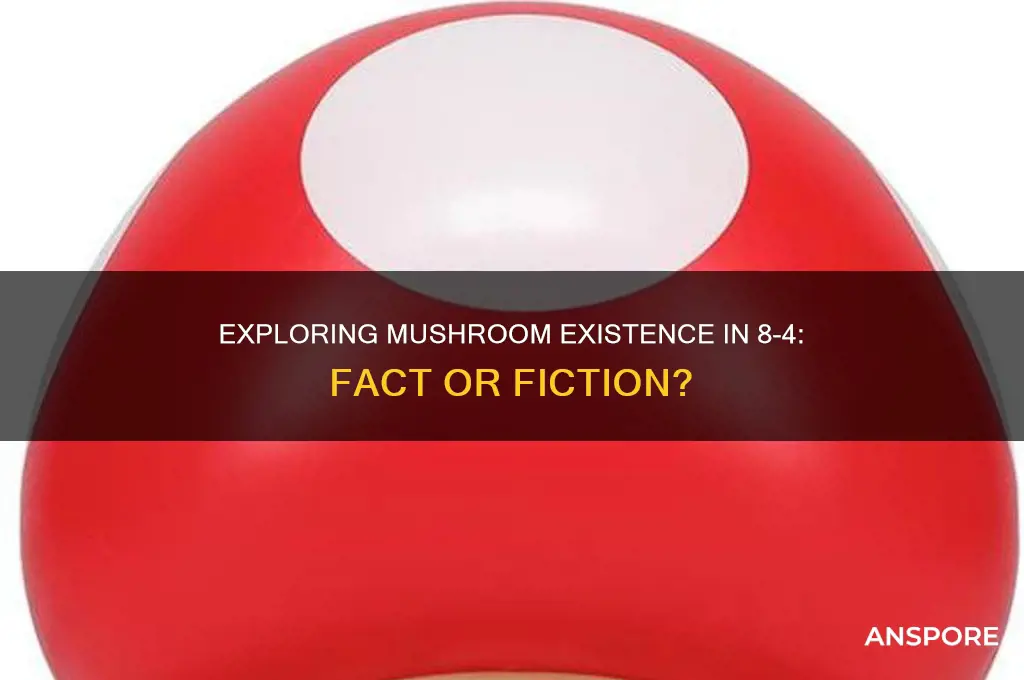 is there a mushroom in 8-4