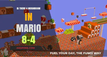 Exploring Mario 8-4: Unveiling the Mushroom Mystery in the Game