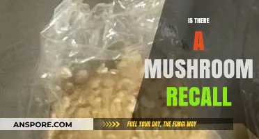 Mushroom Recall: What You Need to Know