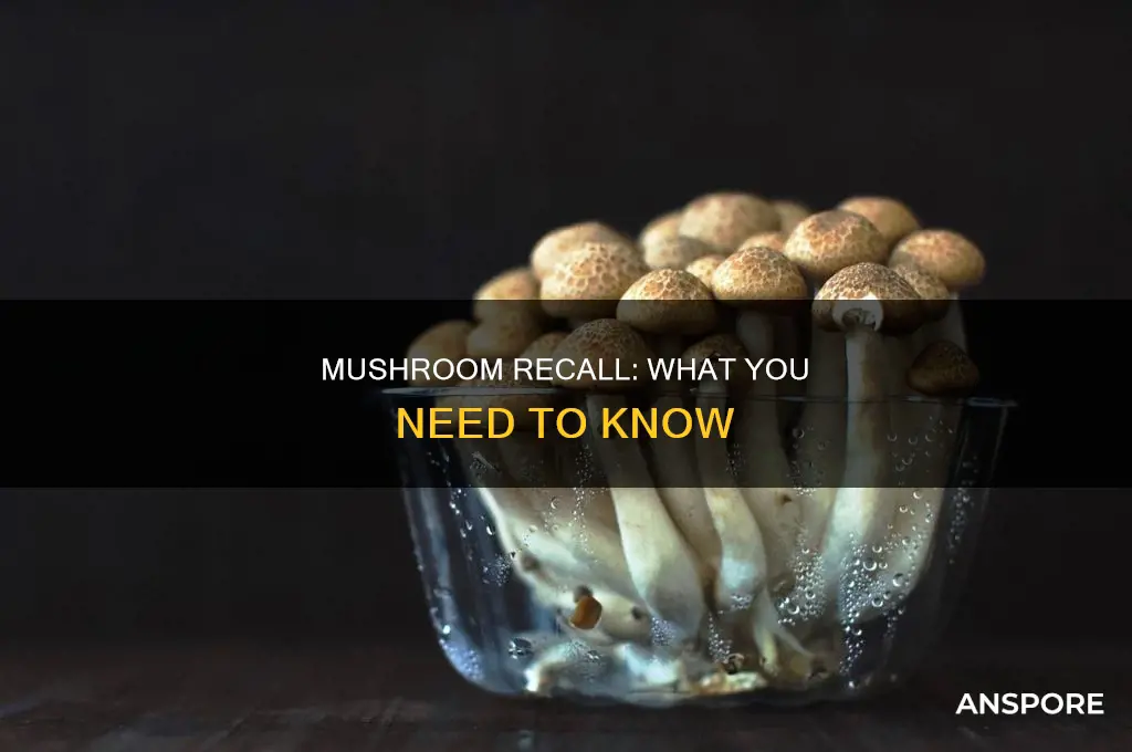 is there a mushroom recall