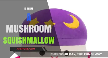 Mushroom Squishmallows: Are They a Thing?