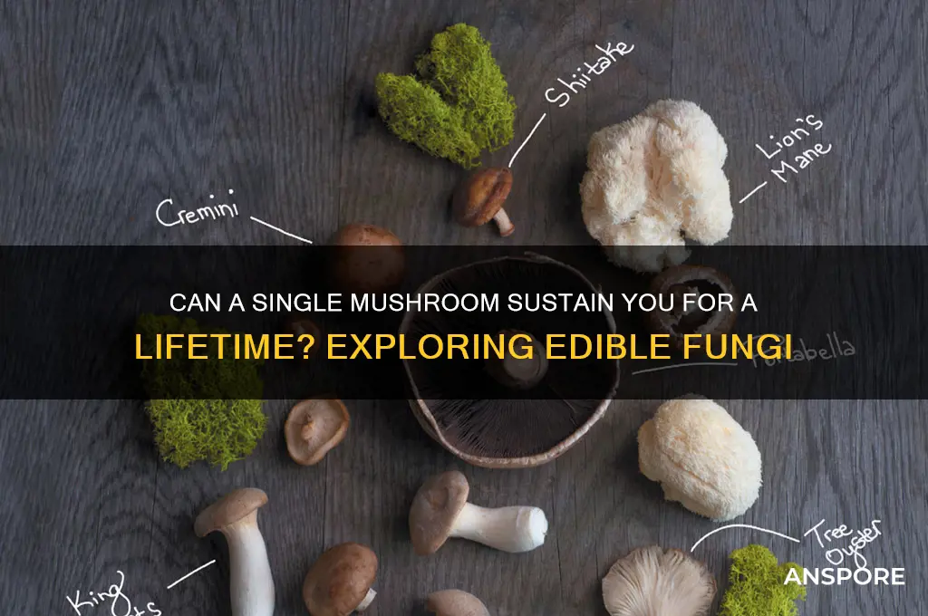 is there a mushroom that can feed you for life