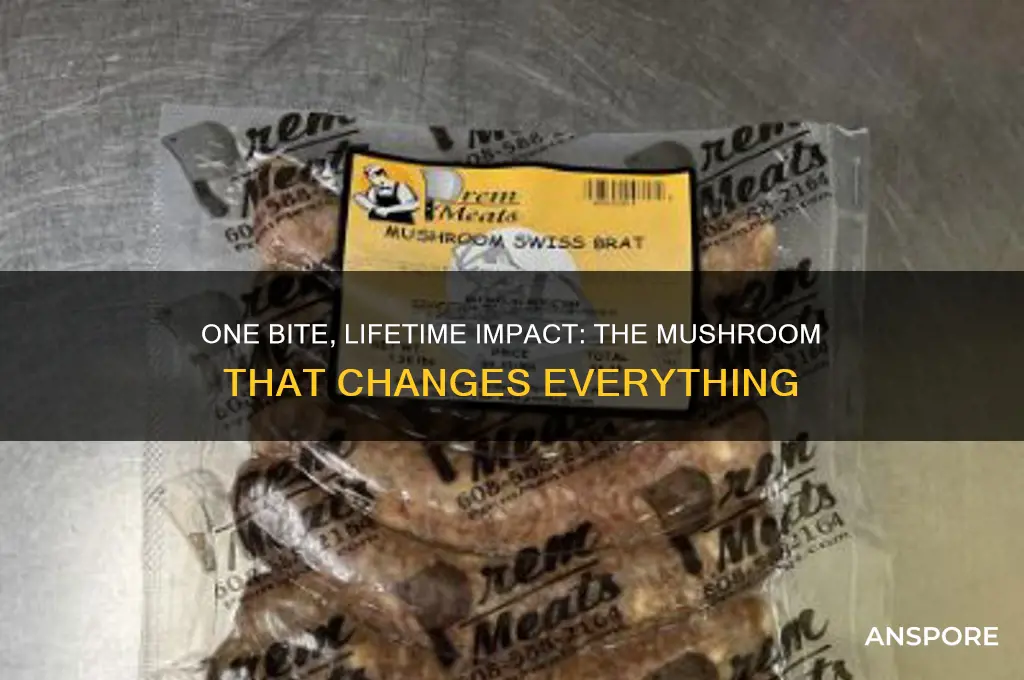 is there a mushroom that if eaten once