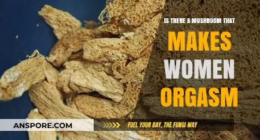 Exploring the Myth: Can a Mushroom Induce Female Orgasm?
