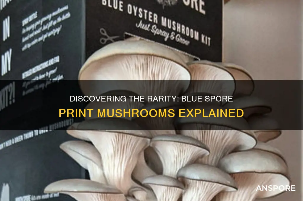 is there a mushroom with blue spore print