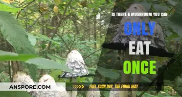 The One-Time Mushroom: Unveiling the Truth About Its Edibility