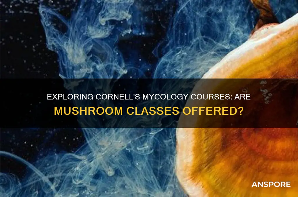 is there a mushrooms class at cornell