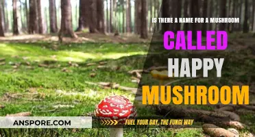 Exploring the Myth: Is There a 'Happy Mushroom' in Nature?