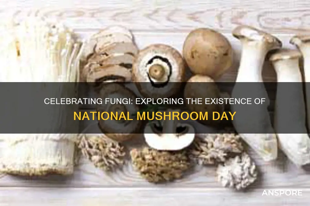 is there a national mushroom day