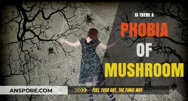 Unveiling Myophobia: The Fear of Mushrooms Explained and Explored