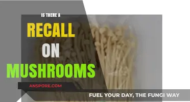 Mushroom Recall Alert: Are Your Fungi Safe to Consume?