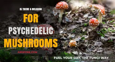 Exploring Sacred Psychedelics: Do Magic Mushrooms Inspire Spiritual Beliefs?