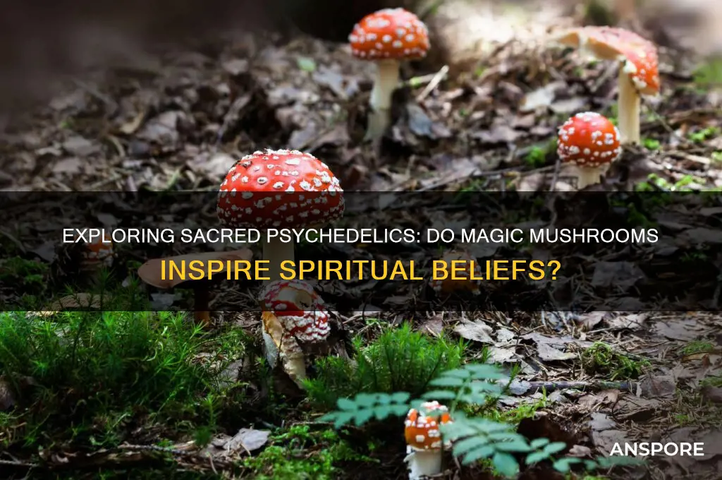 is there a religion for psychedelic mushrooms