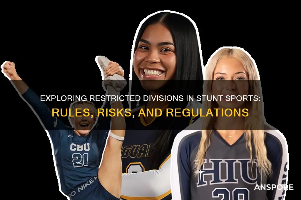 is there a restricted division in stunt the spor
