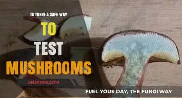 Safe Mushroom Testing: Reliable Methods to Identify Edible Varieties