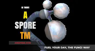 Exploring the Existence of a Spore TM: Fact or Fiction?