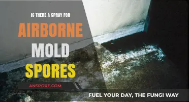 Effective Spray Solutions for Airborne Mold Spores: Fact or Fiction?
