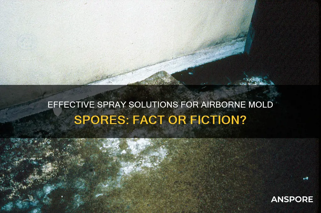 is there a spray for airborne mold spores