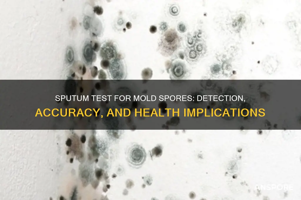 is there a sputum test for mold spores