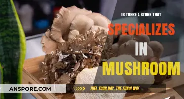 Discovering Specialty Mushroom Stores: Where to Find Unique Fungal Delights
