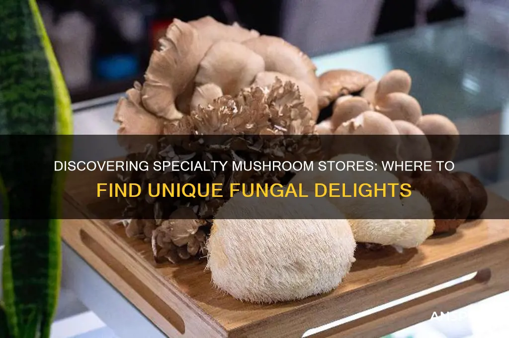 is there a store that specializes in mushrooms
