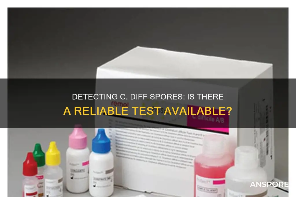is there a test for c diff spores