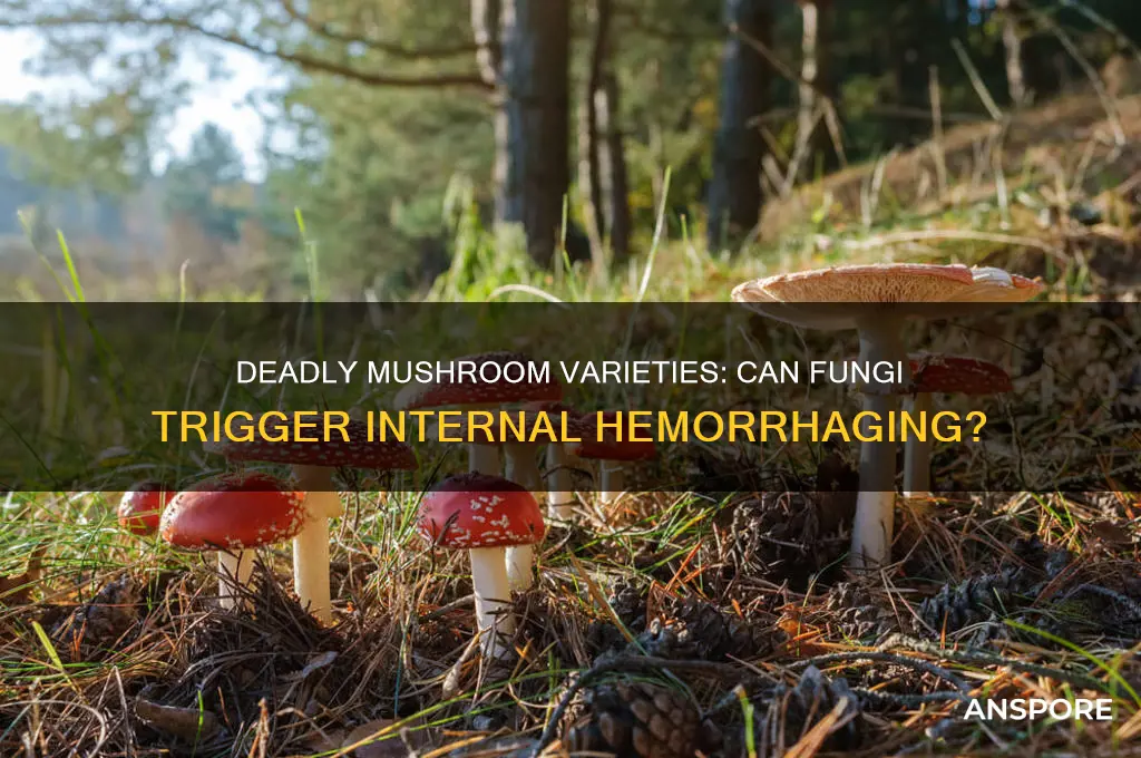 is there a type of mushroom that causes internal hemmoraging