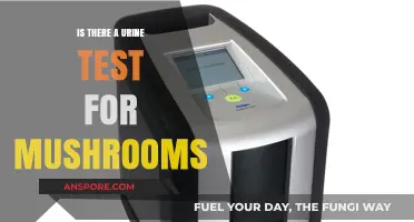 Can Urine Tests Detect Mushroom Use? Exploring Psilocybin Testing Methods