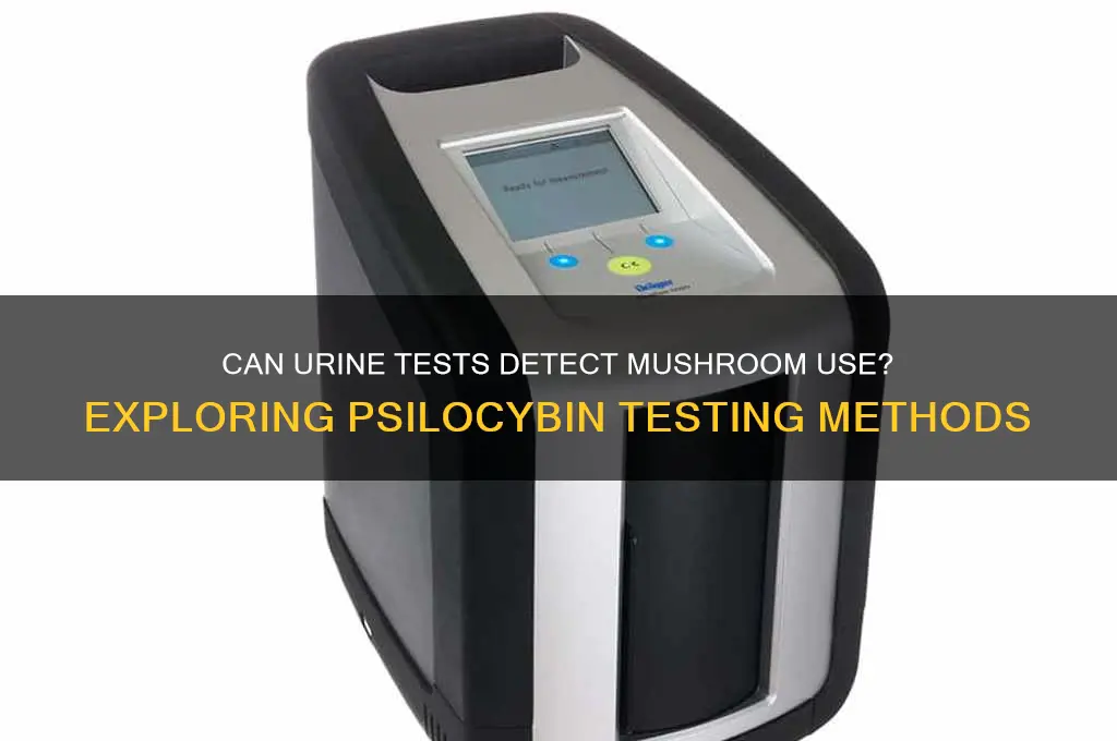 is there a urine test for mushrooms