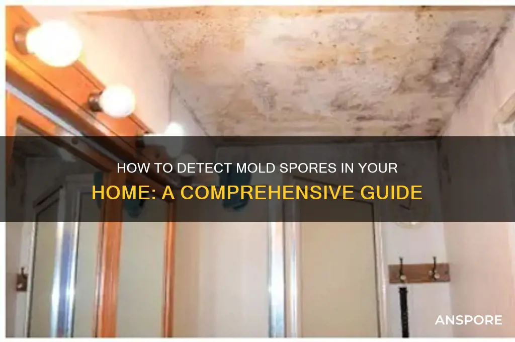 is there a way to check a house formold spores