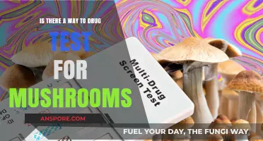 Can You Drug Test for Mushrooms? Detection Methods Explained
